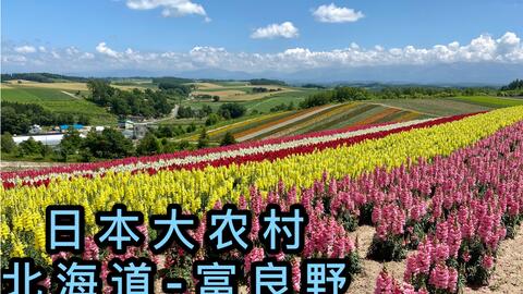 夏日旅行在日本 北海道大农村长什么样 一起去看看吧 哔哩哔哩 Bilibili