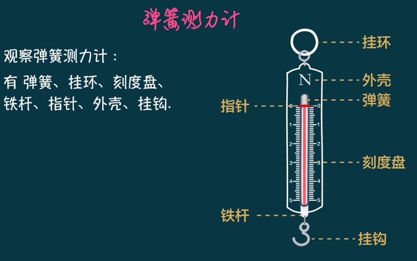 初中物理 实验常考 | 【力】:弹簧测力计哔哩哔哩bilibili