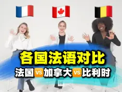 Download Video: 各国法语对比：法国vs加拿大vs比利时