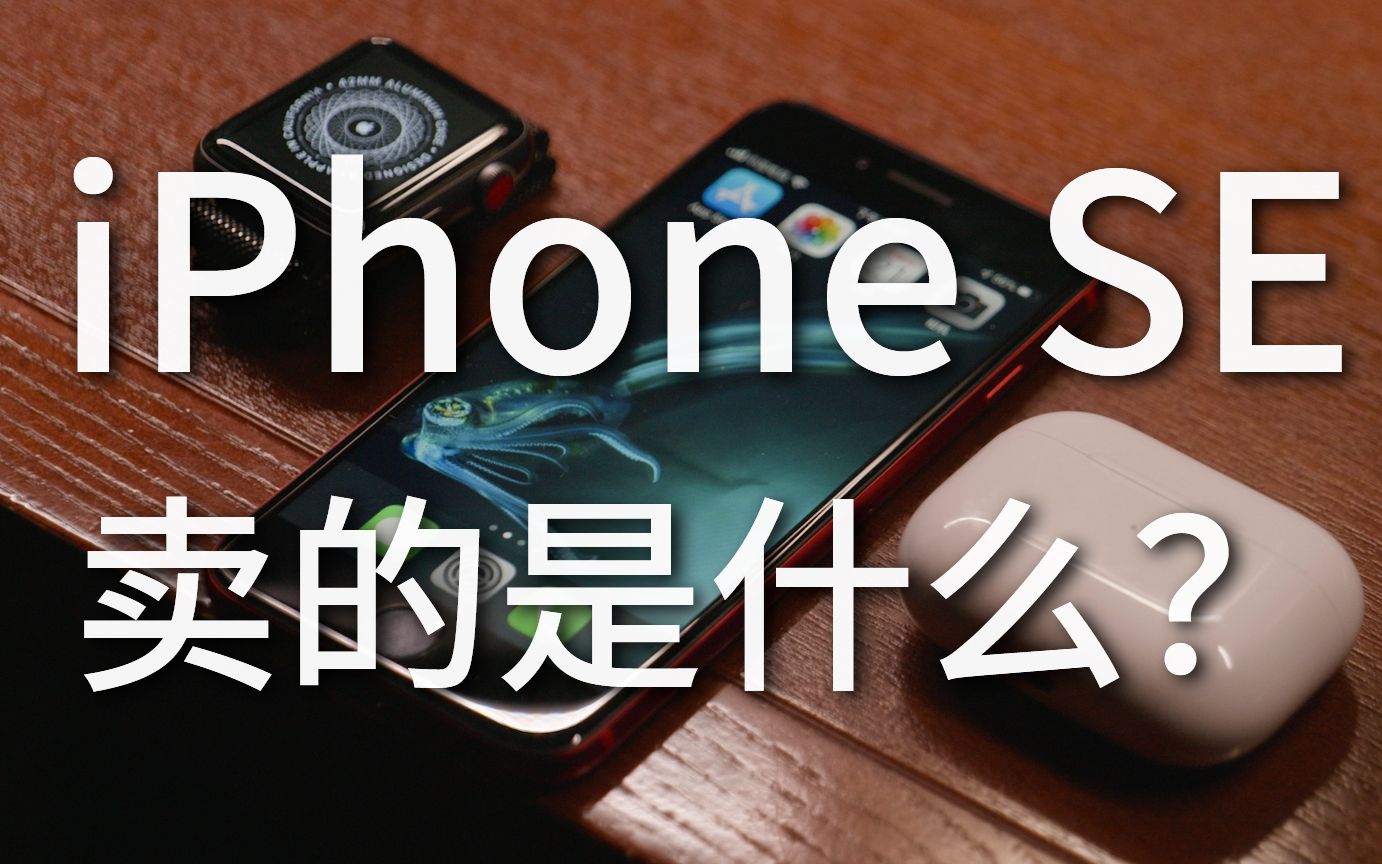 三千块的 iPhone SE, 你买到的是什么?— iPhone SE 长期测评哔哩哔哩bilibili