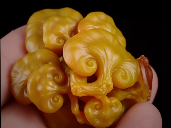 战国红鸡油黄九如