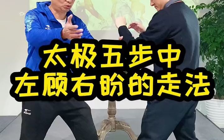 太极拳的左顾右盼的实战用法演示哔哩哔哩bilibili