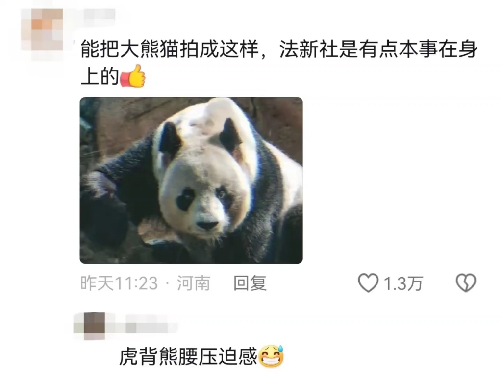 法新社黑粉转站姐吗?最强中国站姐.哔哩哔哩bilibili