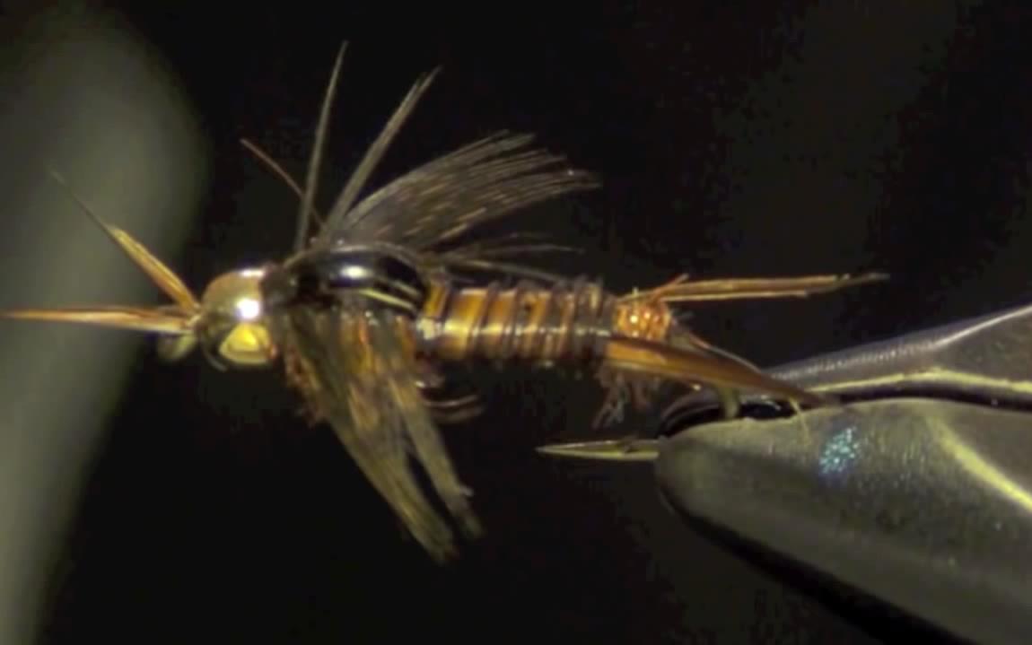 [图]Poxyback Microstone Stonefly