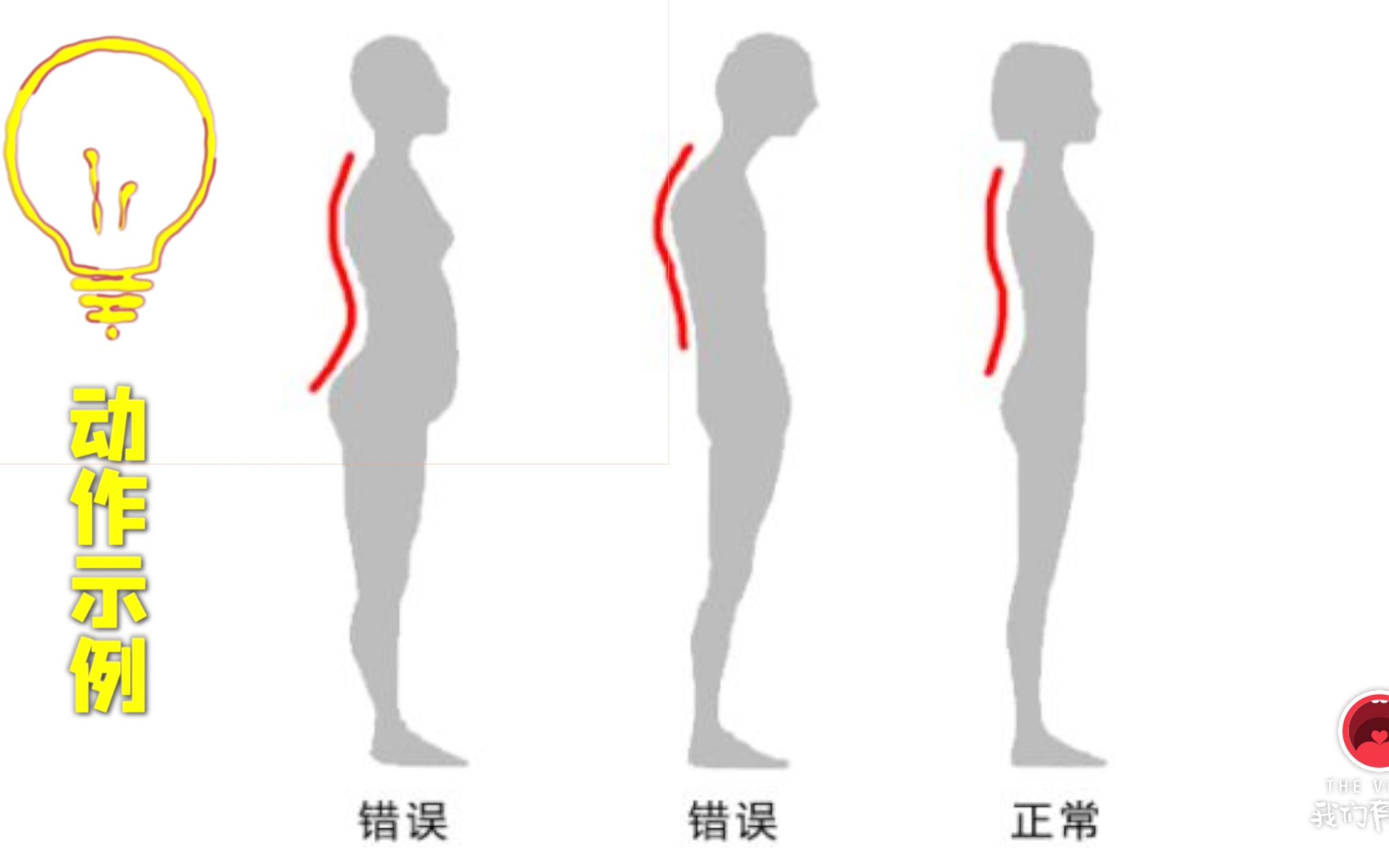 含胸?前交叉綜合症?想改善體態問題的看這裡