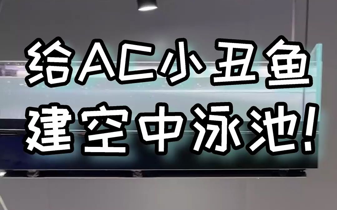 给快到的AC小丑鱼建个空中泳池!哔哩哔哩bilibili