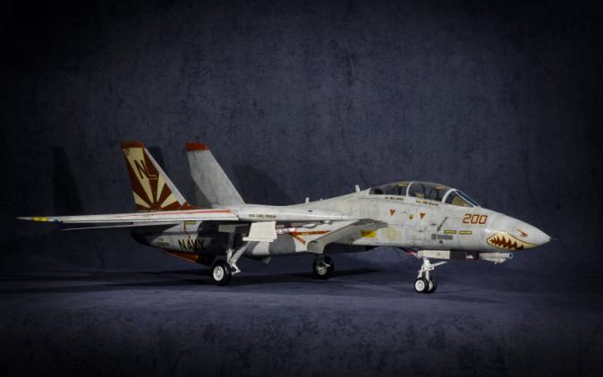 长谷川老猫 f-14a 落日中队