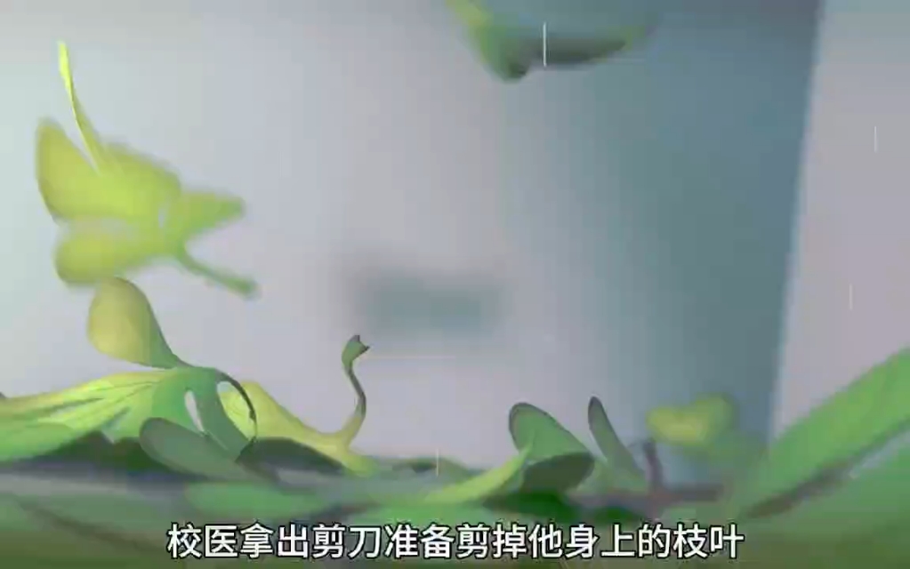 动漫哔哩哔哩bilibili