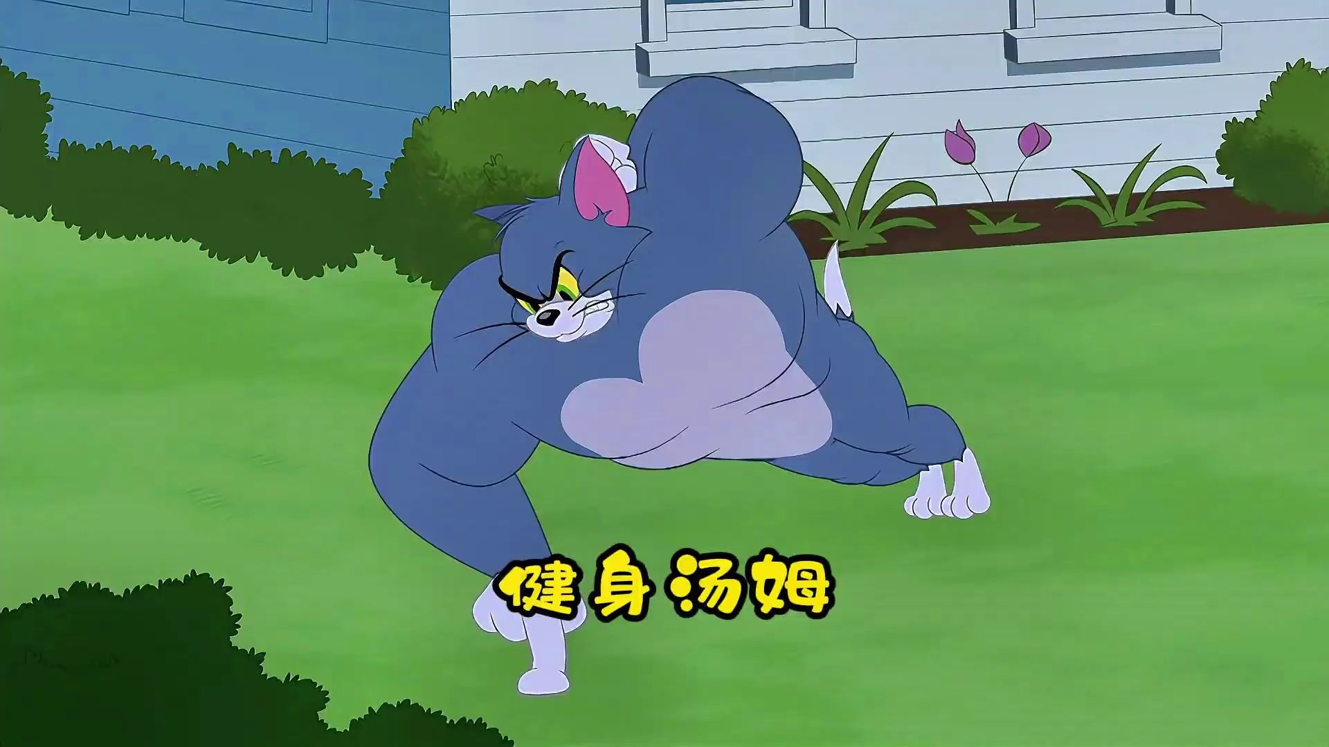 汤姆和杰瑞都成了健身猛男,谁也不服谁 #搞笑动画 #怀旧动画 #看到