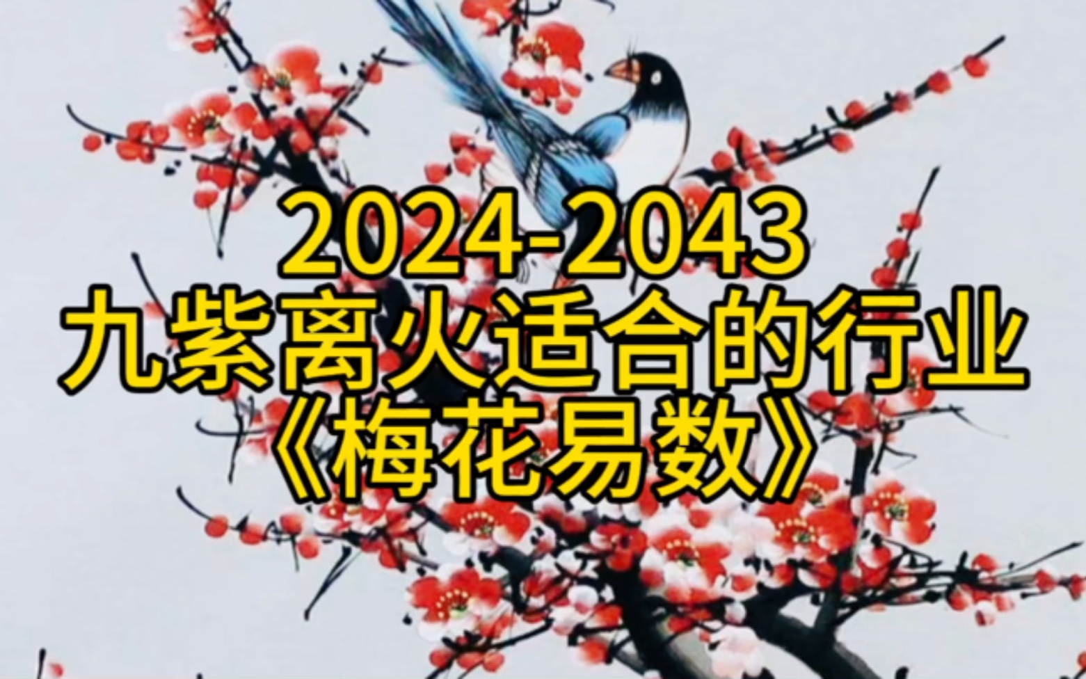 《梅花易數》2024-2043九紫離火適合的行業!