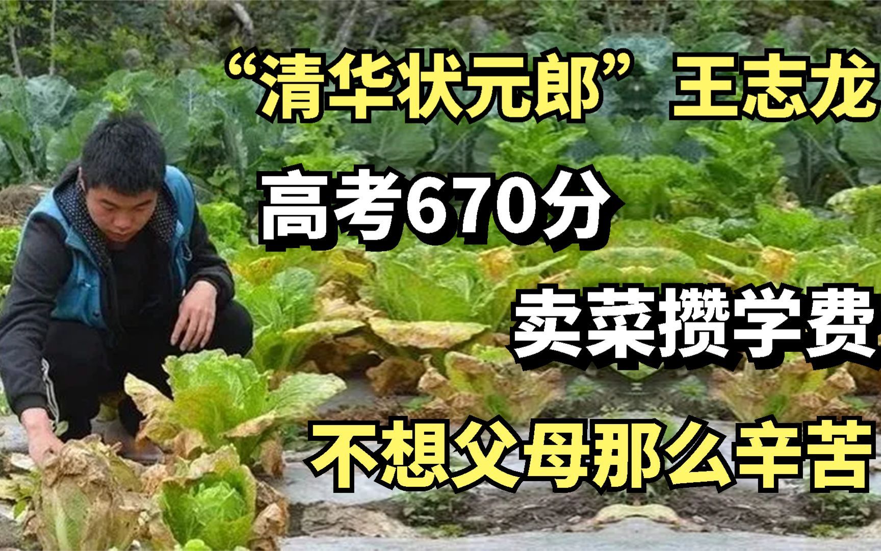 清华状元郎王志龙:高考670分,卖菜攒学费,不想父母那么辛苦哔哩哔哩bilibili