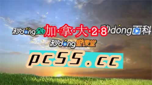 28加拿大怎么玩法