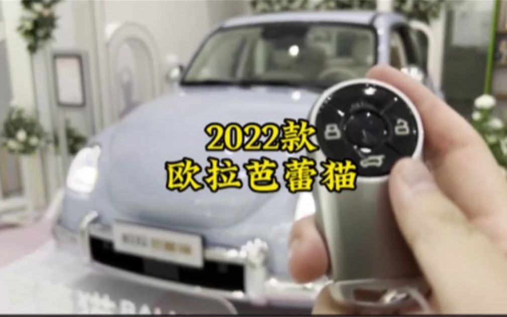 2022款欧拉芭蕾猫 车型讲解及落地价参考哔哩哔哩bilibili