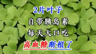 Download Video: 2片叶子，自带胰岛素，每天大口吃，高血糖断根了