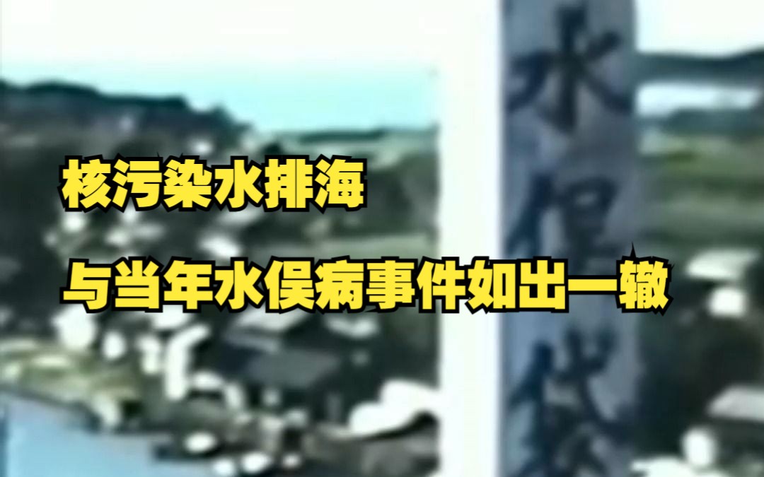 核污染水排海与当年水俣病事件如出一辙,日本水俣病受害者要求停止排海,受害者60年仍走不出噩梦哔哩哔哩bilibili