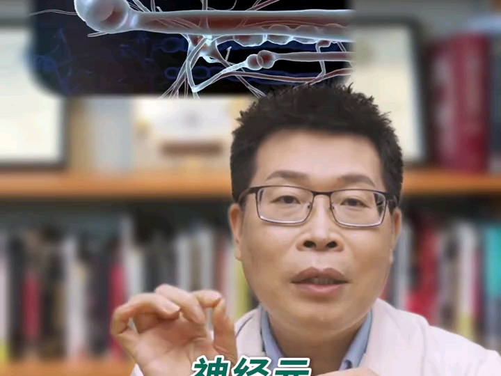 知名北京三甲医院医生告诉你，什么是磷脂酰丝氨酸～