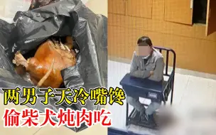 下载视频: 两男子天冷嘴馋偷柴犬炖肉吃：怕药量不够又用铁棍打了几下