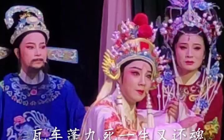 [图]【片段】《金殿认子-再拜生儿的老娘亲》林雪亚(竖版) 唱词字幕【清晰】