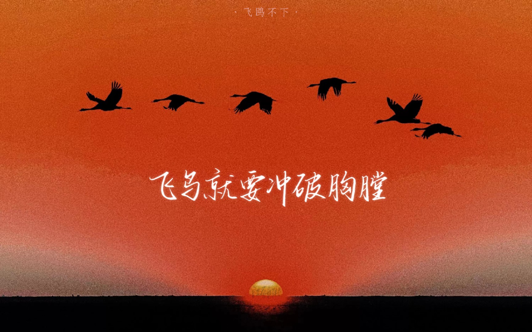 【飞鸥不下】板写录屏