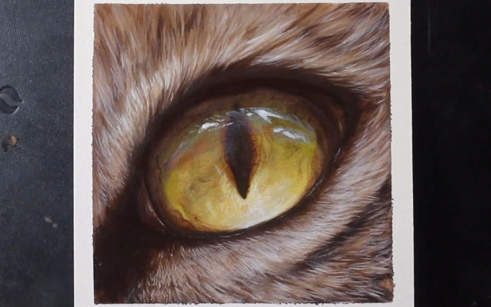 如何用油漆或丙烯颜画黄色猫眼