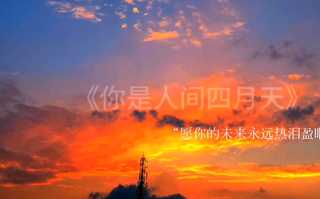 愿你在我看不到的地方安然无恙