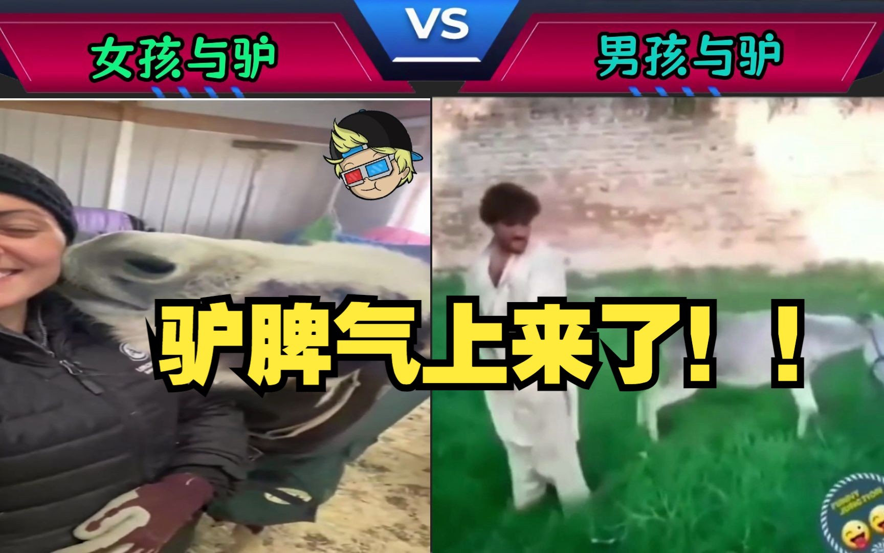 女孩与驴 VS 男孩与驴哔哩哔哩bilibili