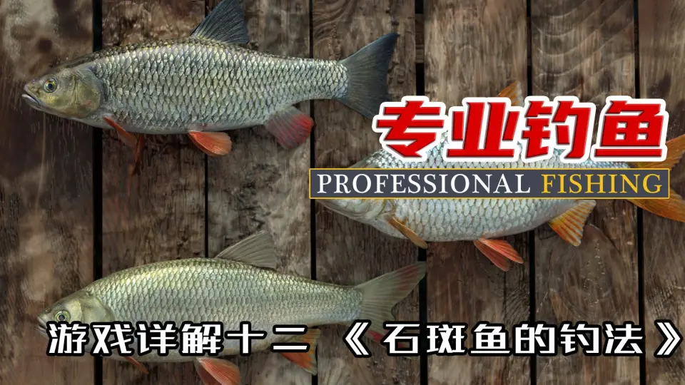 Toronto Fishing Forum • View topic - 【推荐】在士嘉堡新开张的渔具店“疯狂渔具CRAZY FISHING  TACKLE, 有开张期间的优惠