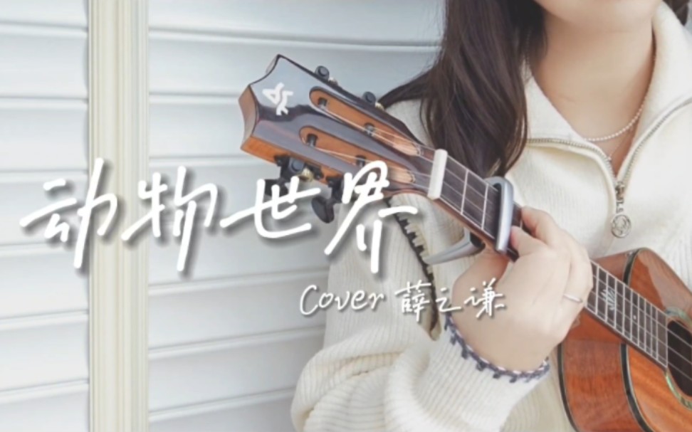尤克里里弹唱 | 动物世界 薛之谦