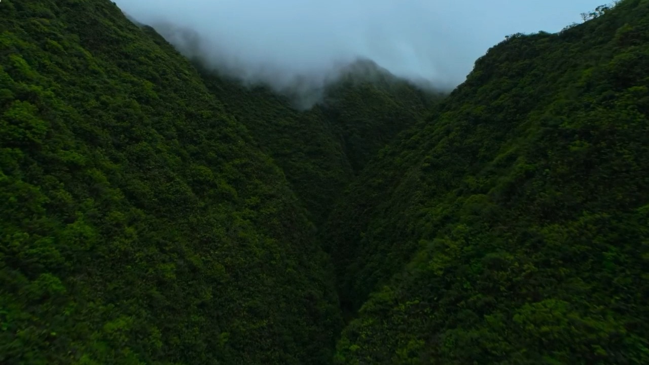 [图]河图 青山有剑 伴奏 和声伴奏