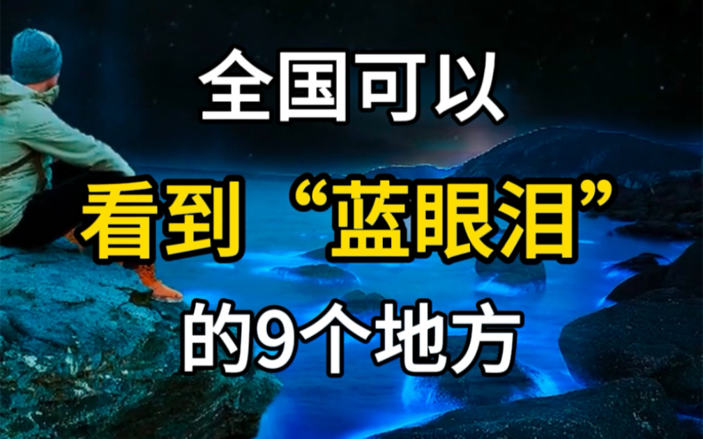 [图]全国可以看到蓝眼泪的九个地方，一起去看荧光海。