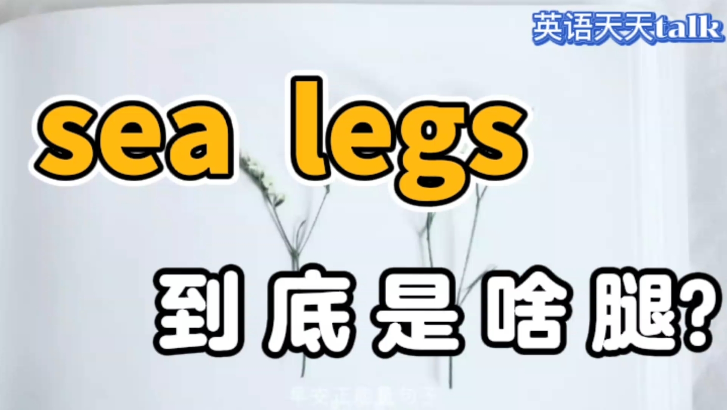 sea是“海”,leg是“腿”,英语sea legs到底是什么呢?哔哩哔哩bilibili