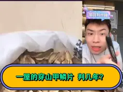 Tải video: 各位辅警，你们转正的机会来啦！一整屋的穿山甲鳞片！刑啊，缝纫机踩冒烟了