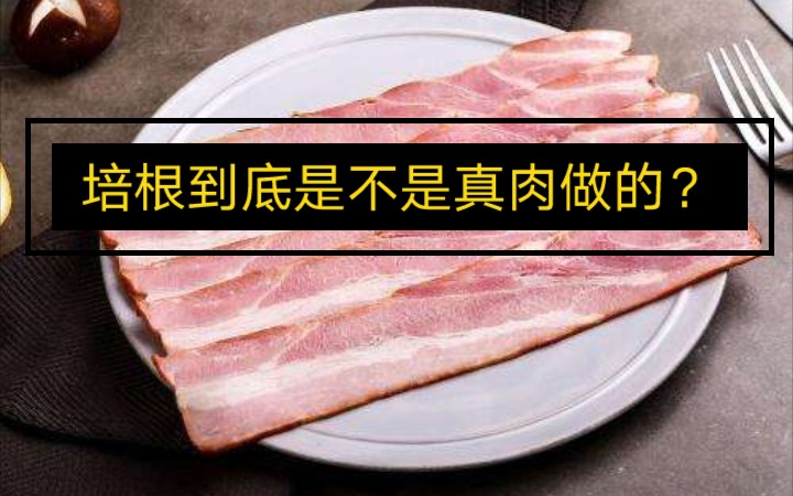 培根到底是不是真肉做的?两分钟告诉你答案.哔哩哔哩bilibili