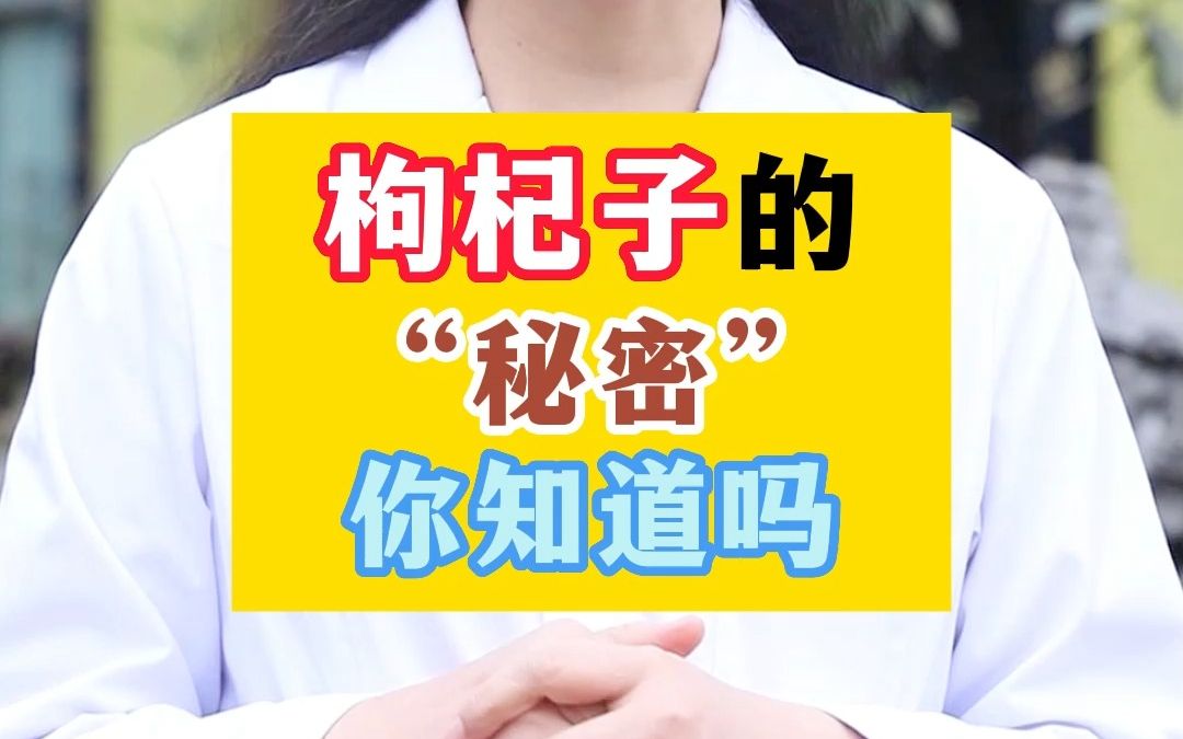 哪些人不适合泡枸杞哔哩哔哩bilibili