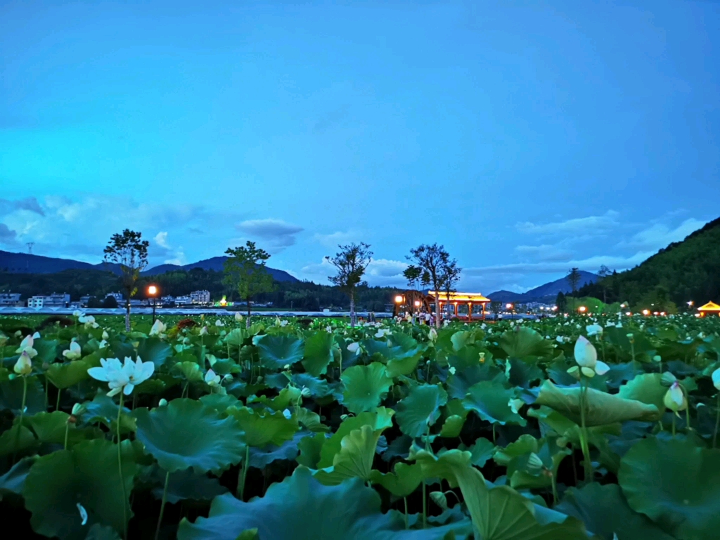 [图]美丽的湖边景色