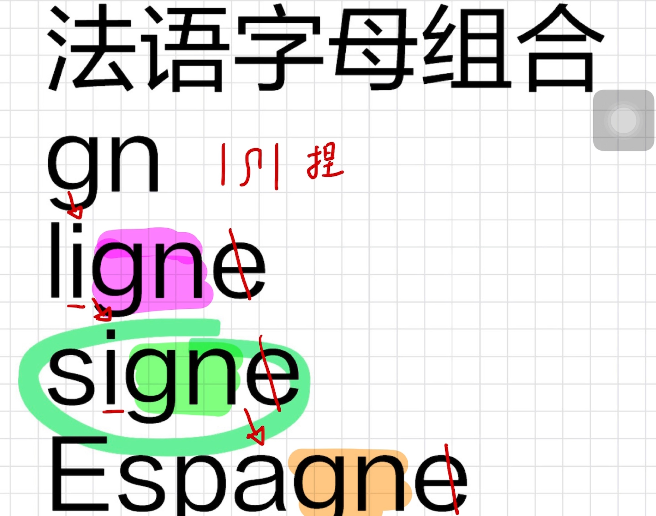 法语拼读:gn的正确发音(二十一)哔哩哔哩bilibili