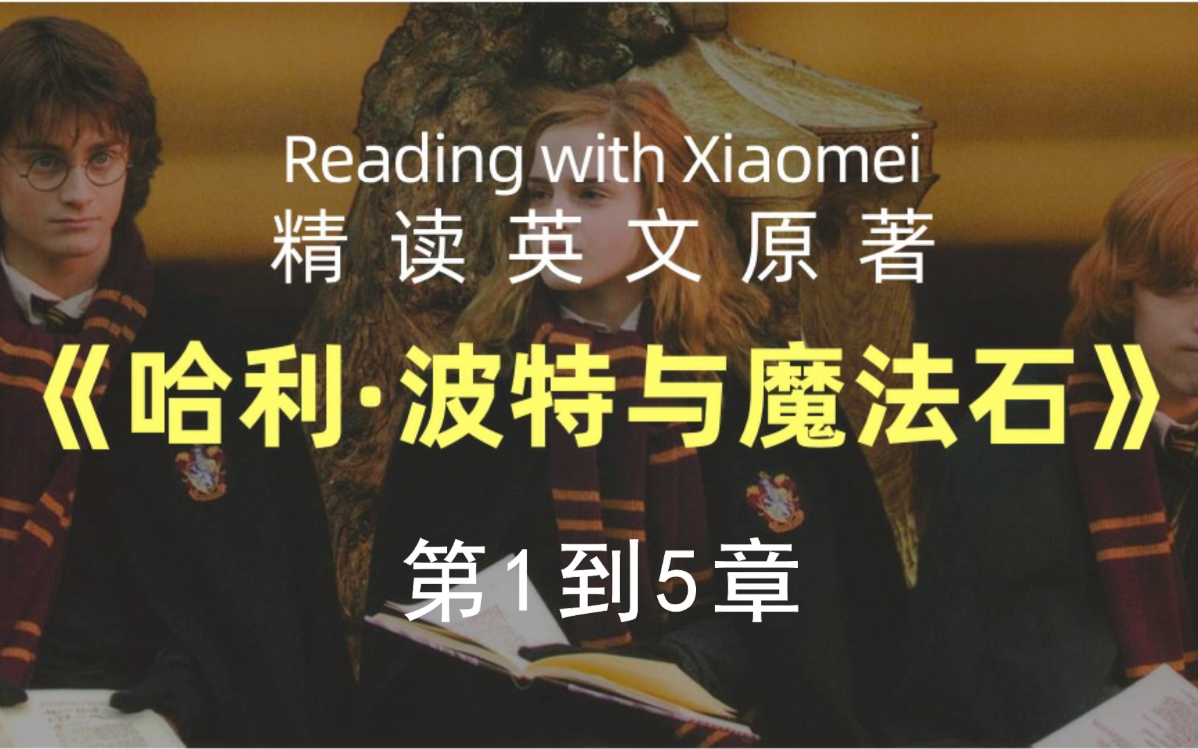 [图]逐字精读英文《哈利波特与魔法石》第1到5章