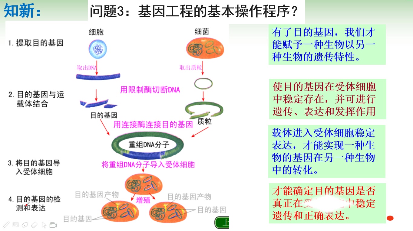 高二生物校本课哔哩哔哩bilibili