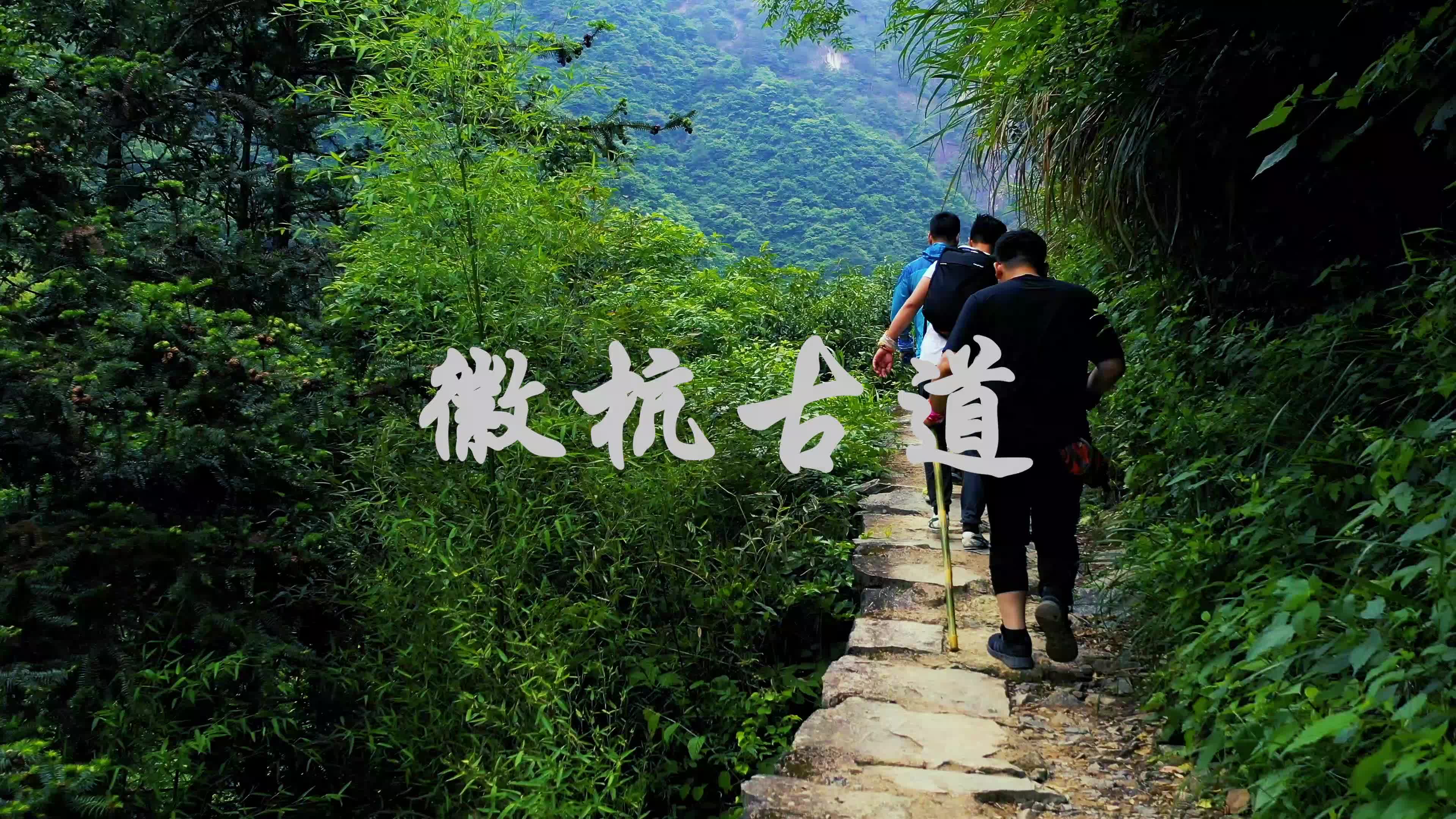 徽杭古道,最美古道穿梭崇山峻岭之间哔哩哔哩bilibili