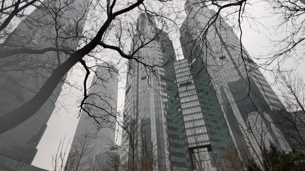 记录雨天央视大楼