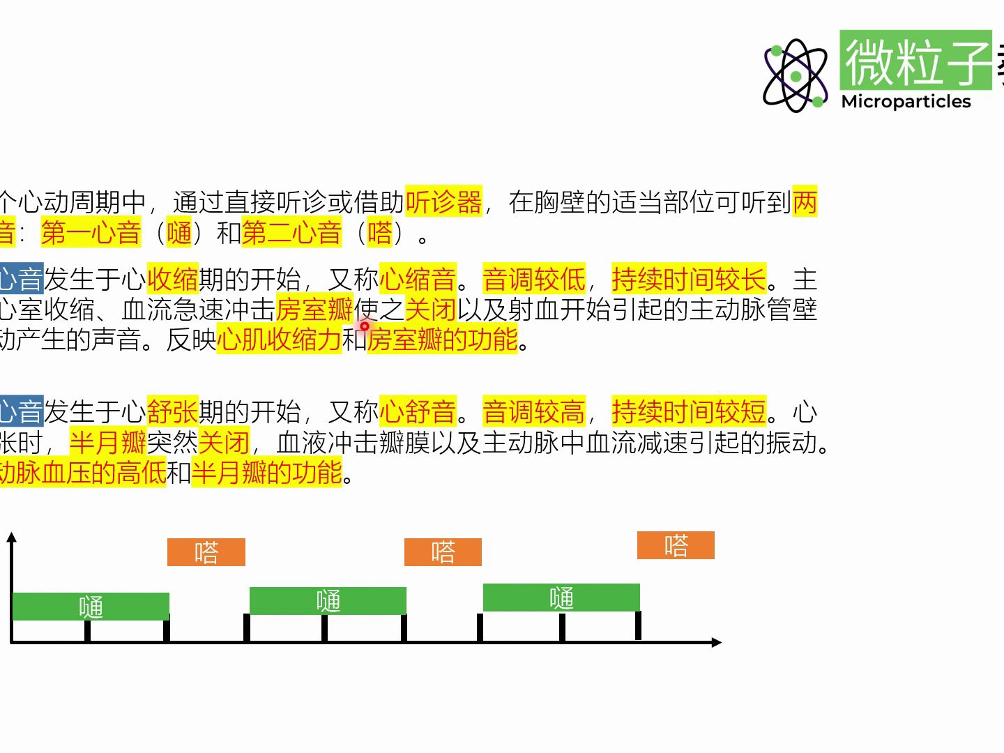 2024年执业兽医考试,用这样的课程还担心考不过吗?哔哩哔哩bilibili