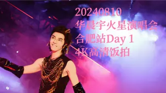 Download Video: 【华晨宇】20240810 火星演唱会合肥站Day 1 4K高清饭拍全程