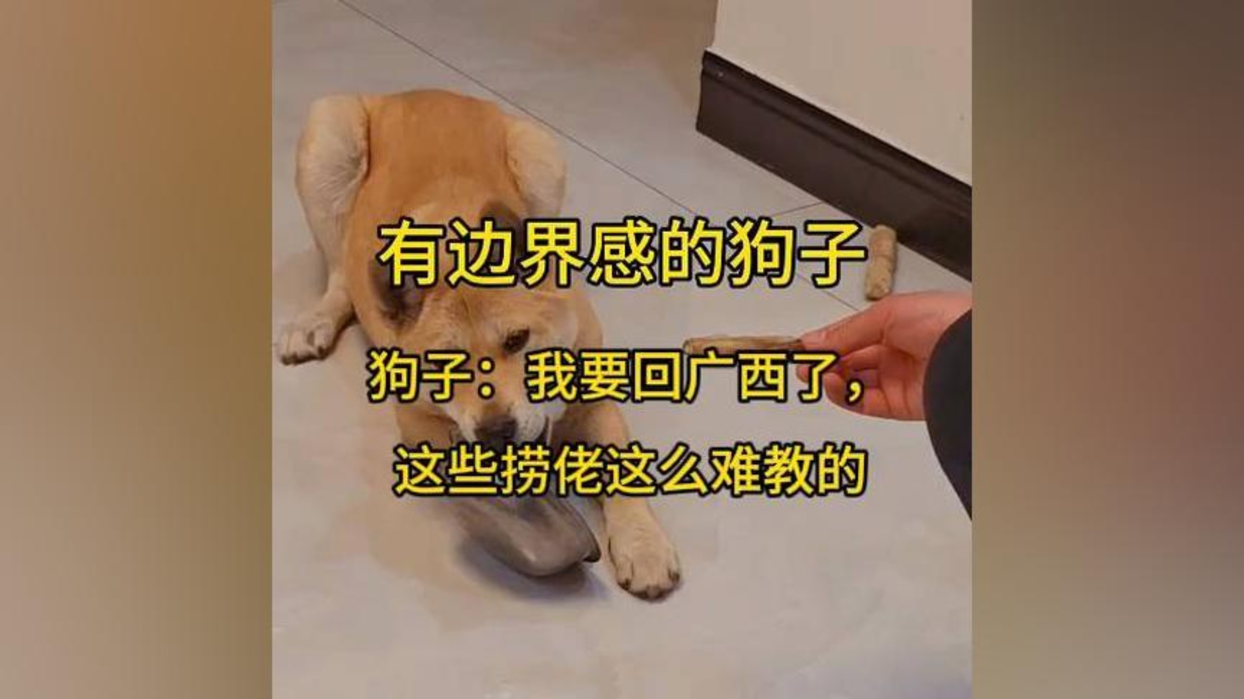 狗子：我要回广西了，这些捞佬这么难教的