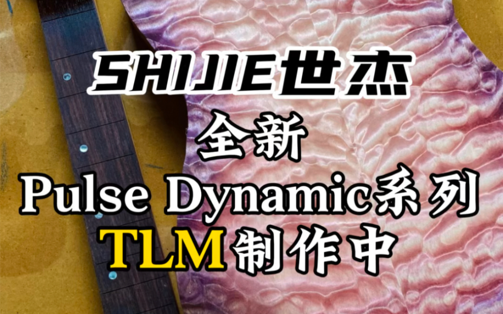 SHIJIE世杰全新Pulse Dynamic系列TLM制作中哔哩哔哩bilibili