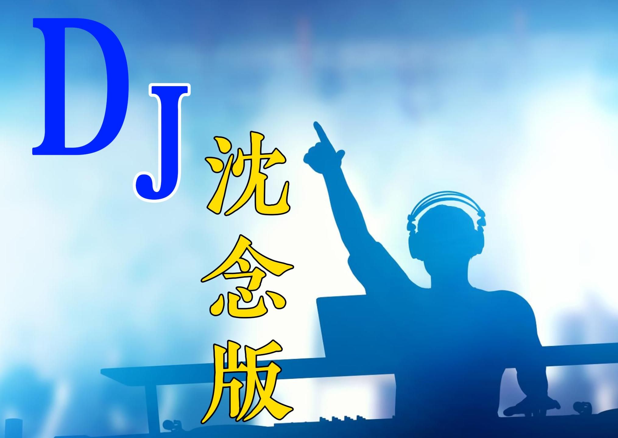 [图]好听的DJ曲（DJ沈念版）