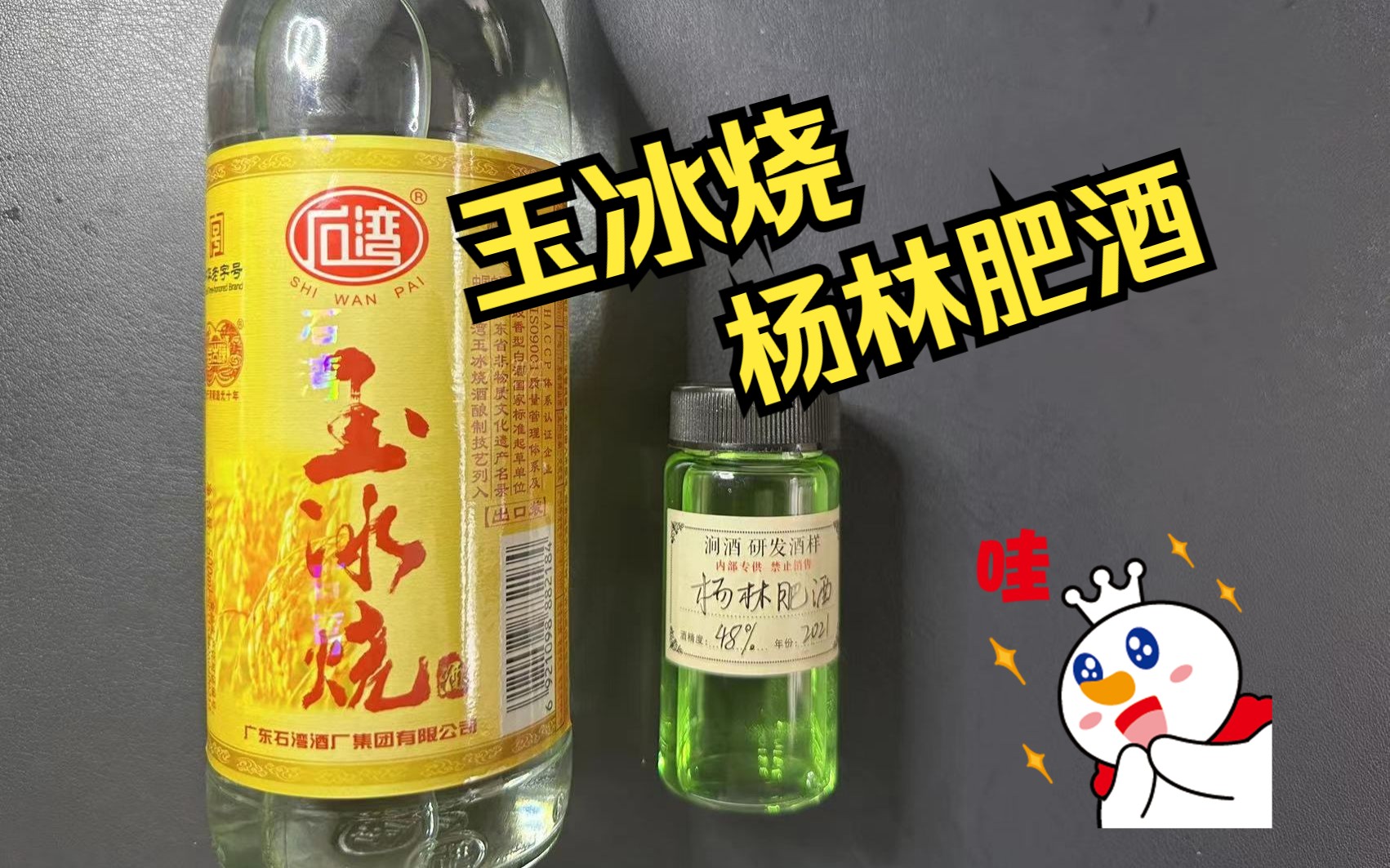 摸鱼喝酒肥肉对决!肥肉酒玉冰烧PK杨林肥酒哔哩哔哩bilibili