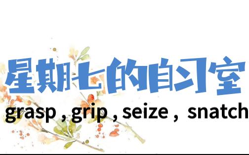 英语四级词汇辨析二五六 grasp , grip , seize , snatch哔哩哔哩bilibili