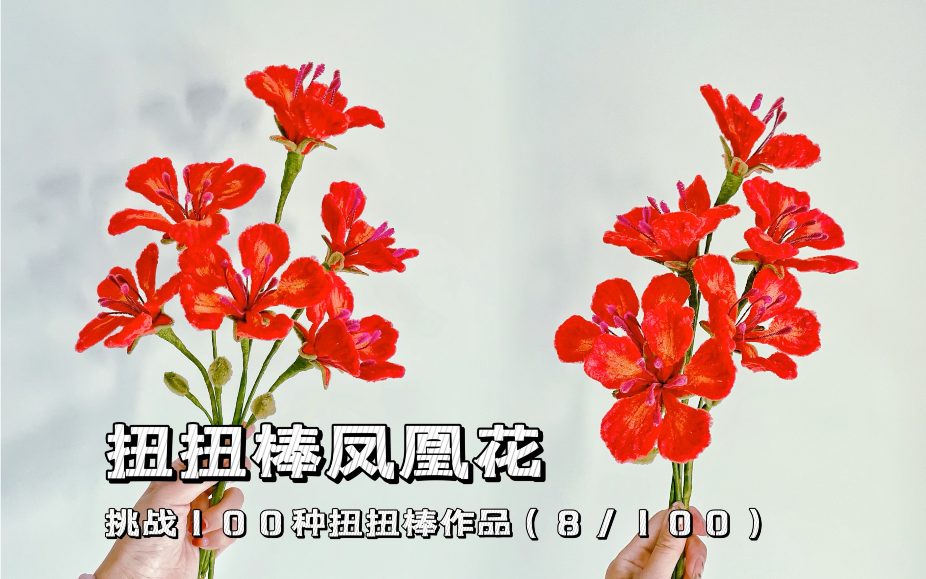 挑战100种扭扭棒作品|凤凰花(8/100)哔哩哔哩bilibili