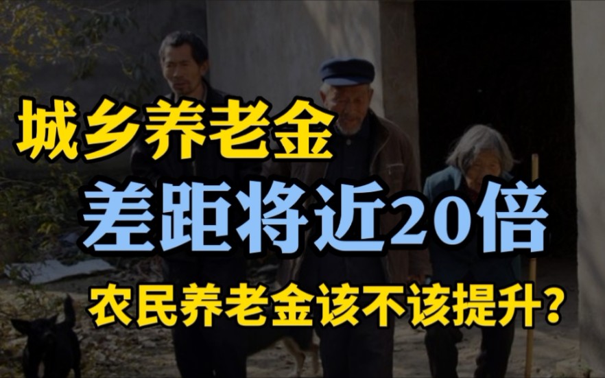 农村养老金:每月领取百余元,靠干农活维持生计,农村养老怎么破哔哩哔哩bilibili