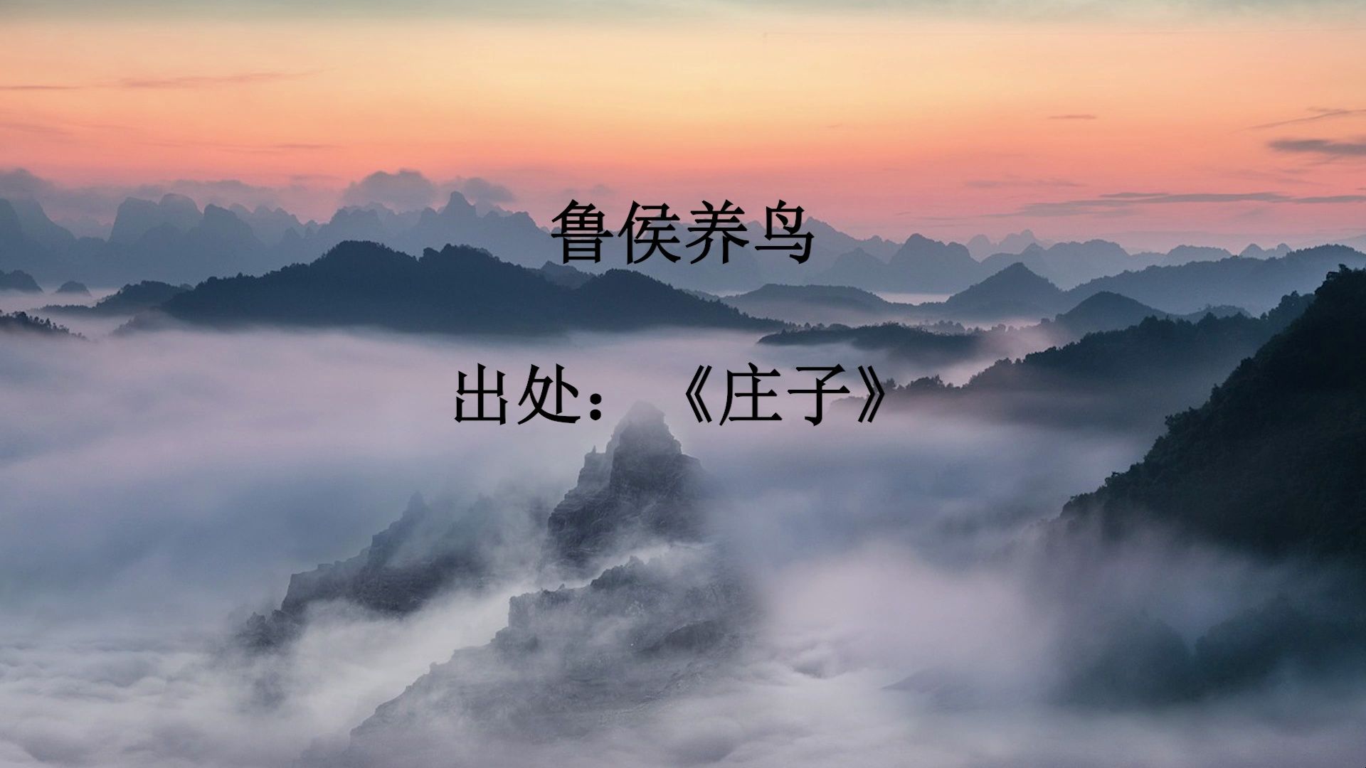 《鲁候养鸟》中国古代寓言故事 背道而驰成语故事